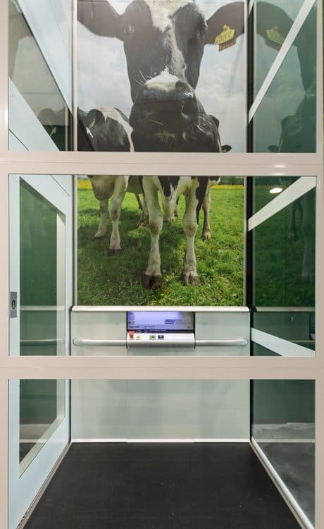 Cow elevator Cibes A5000 netherlands